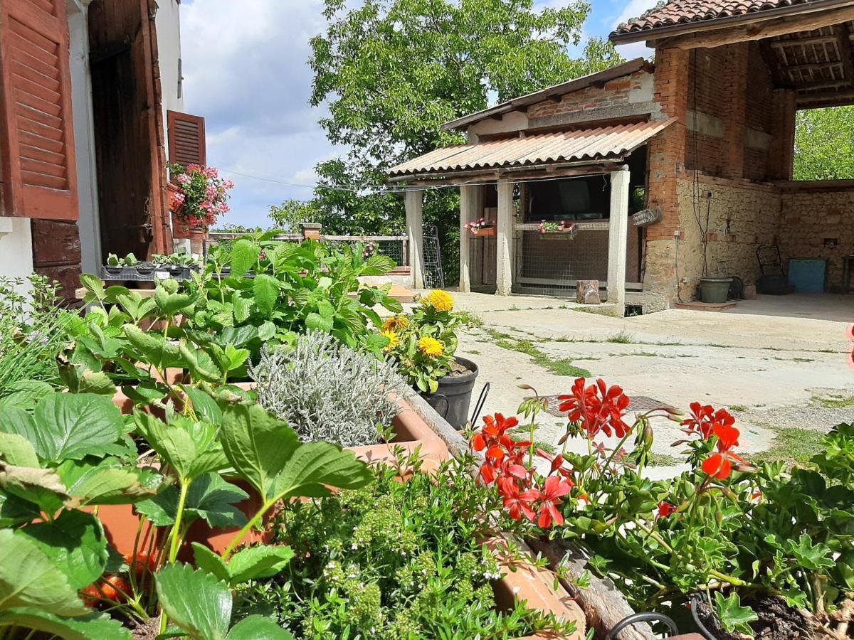 Cascina Teresina Cortazzone Exterior foto